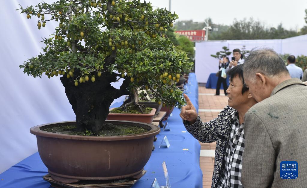2019中博会